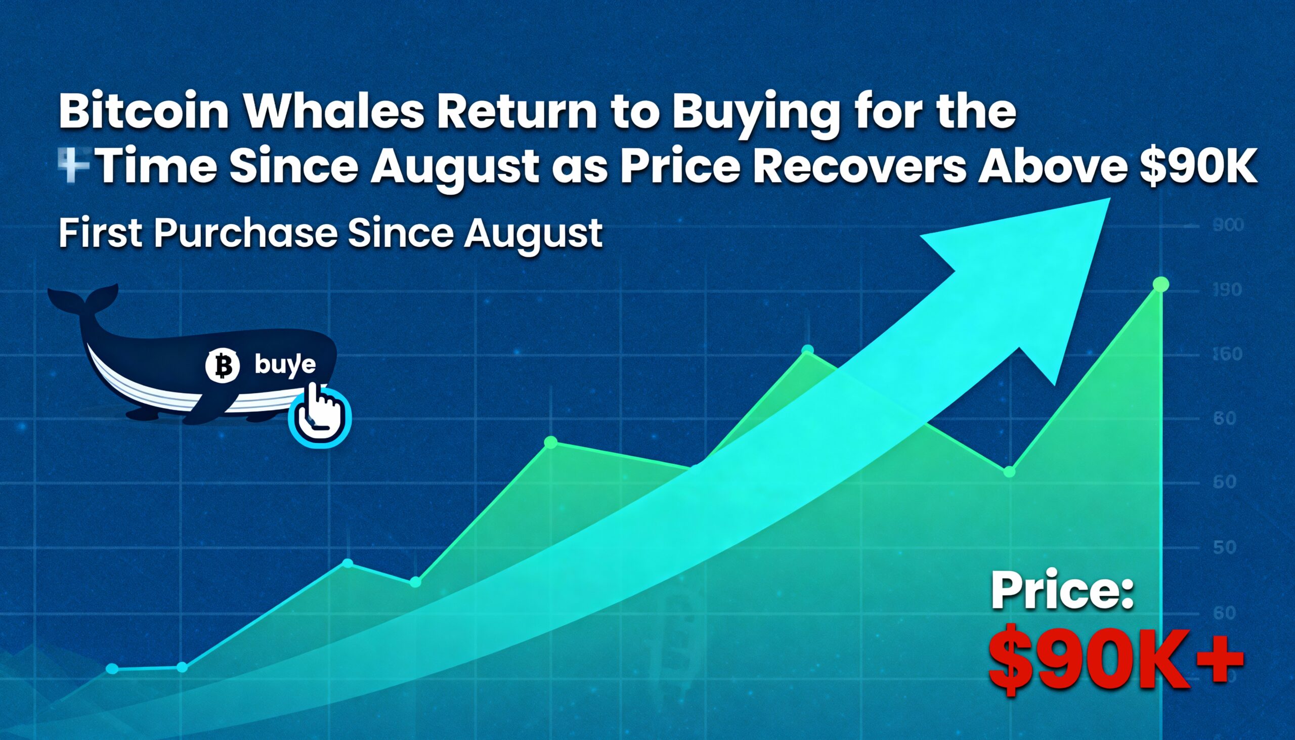 Freepik  Bitcoin Whales Return To Buying For The First Time  54110