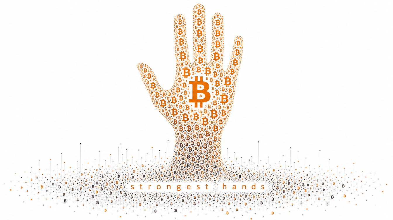 Bitcoin Sees Renewed Buying From Long-Term Holders, On-Chain Data Finds